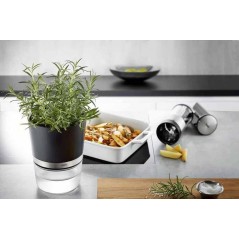 GEFU BOTANICO Smart plantepotte Sort Transparent